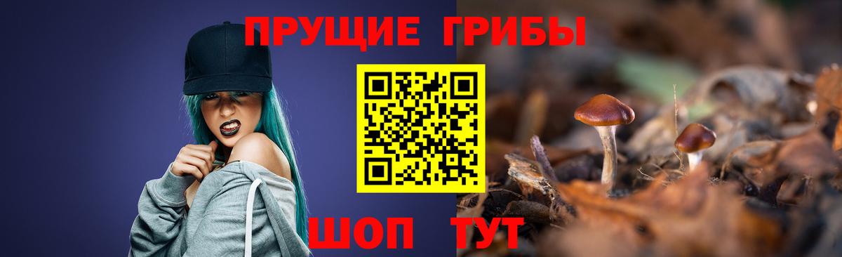 Дербент  даркнет сайт  Вход с VPN  Галлюциногенные грибы Psilocybine cubensis 
